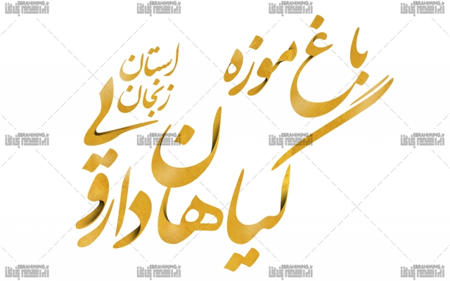اسم شما یا عنوان کسب وکار شما رو به شکل تایپوگرافی (لوگو نوشتاری) و... طراحی کنم