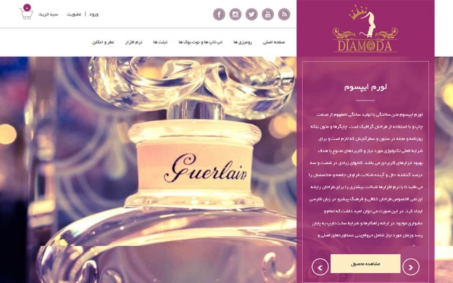 برنامه نویسی اختصاصی وب سایت انجام بدم