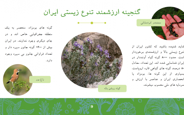 پاورپوینت برای هرنوع ارائه ای درست کنم یا پاور شما رو ادیت کنم