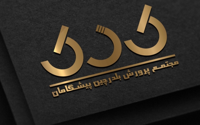طراحی لوگو تون رو برای شما انجام بدم
