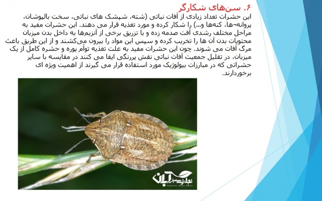 که تحقیق های درسی و کاری و ... به صورت پاورپوینت به شما ارائه دهم