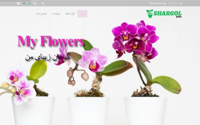 یک سایت وردپرسی  شخصی  شرکتی طراحی کنم