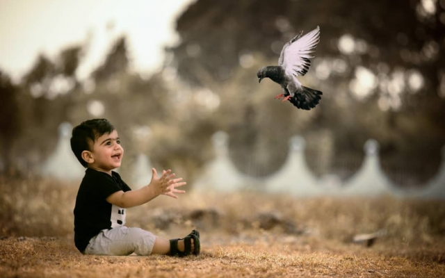عکسای خیلی معمولی شما رو تبدیل یه عکسهای چشم نواز کنم