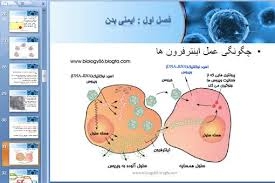 پاورپوینت با اسلایدهای حرفه ای برات بسازم
