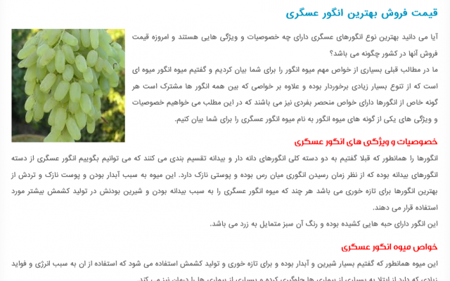 تولید محتوا تخصصی و عمومی سئو شده برای شما انجام دهم