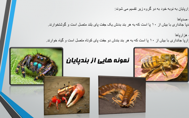 پاورپوینت مورد نظرتان را طراحی کنم.
