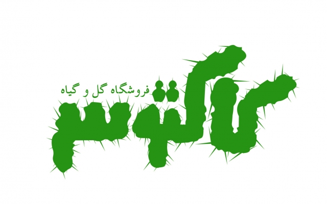 طراحی آرم و لوگوی مورد نظر شما را انجام بدم.