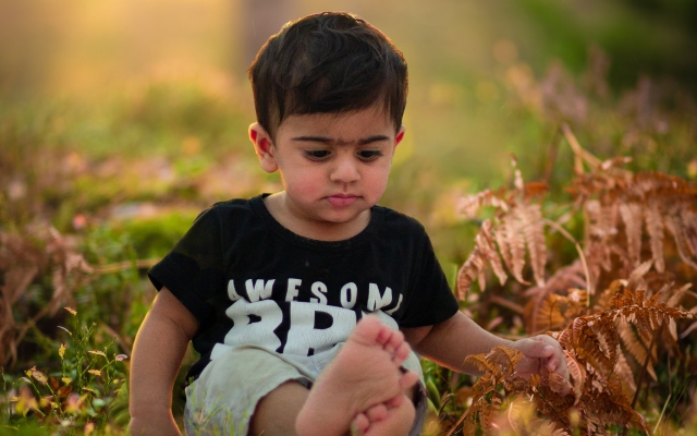عکسای خیلی معمولی شما رو تبدیل یه عکسهای چشم نواز کنم