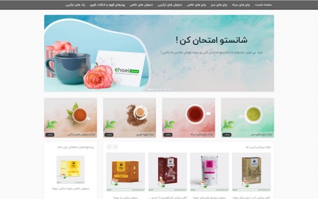 وب سایت وردپرسی رو به صورت کامل راه اندازی کنم و اونو سئو و بهینه کنم