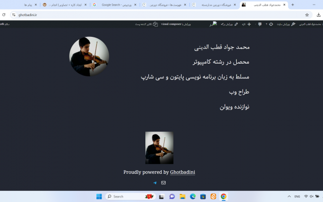 طراحی سایت فروشگاهی با قالب آماده وردپرس و انواع سایت های شخصی را بسازم