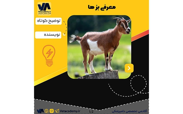طراحی گرافیکی پیج اینستاگرام شمارو به عهده بگیرم