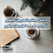 نویسنده شعر و متن در هر سبک و زمینه و مناسبتی باشم