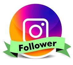 فالوور فیک و واقعی اینستاگرام بدون نیاز به پسورد به پیج شما اضافه کنم.(با هدیه)