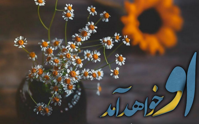 طراحی عکس نوشته انجام بدم.