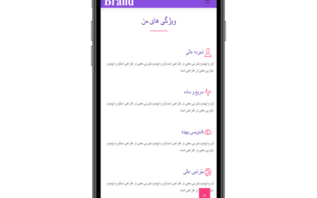وبسایت شخصی ، شرکتی و معرفی محصولات متفاوت و شیک برای شما طراحی کنم.