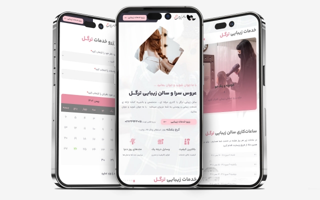 یک سایت پولساز براتون طراحی کنم