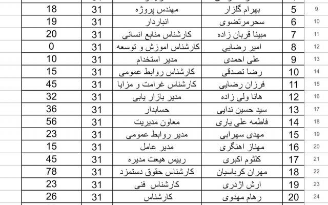 اطلاعات شما را با دقت در فایل اکسل وارد و دسته‌بندی کنم