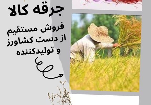 بنر تبلیغاتی برای اینستاگرام شما طراحی کنم