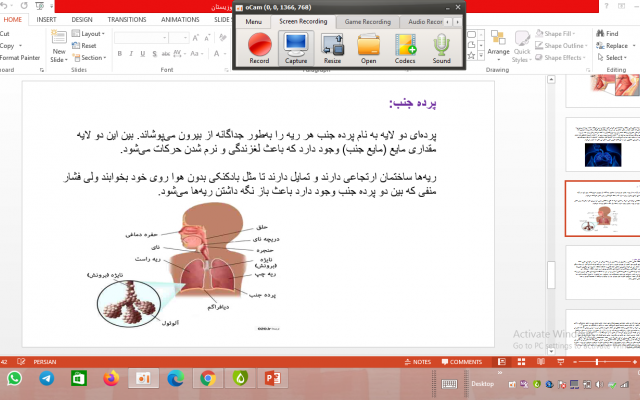 درباره ی موضوع شما تحقیق کنم و پاورپوینت کاربردی و منظم بسازم.