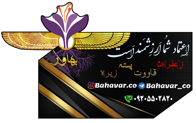 کارت ویزیت و کاتالوگ کاری براتون طراحی کنم