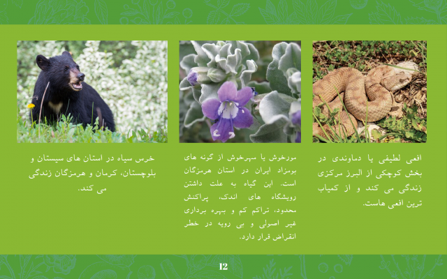 پاورپوینت برای هرنوع ارائه ای درست کنم یا پاور شما رو ادیت کنم