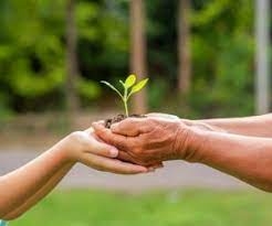 با ارایه مشاوره روانشناسی به تو در حل مشکلات کمک کنم.