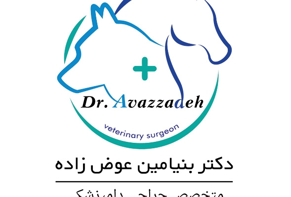 یک لوگوی خلاقانه واست طراحی کنم