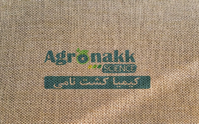 طراحی لوگو برای شرکت شما, تیم شما و یا برند شما انجام دهم.