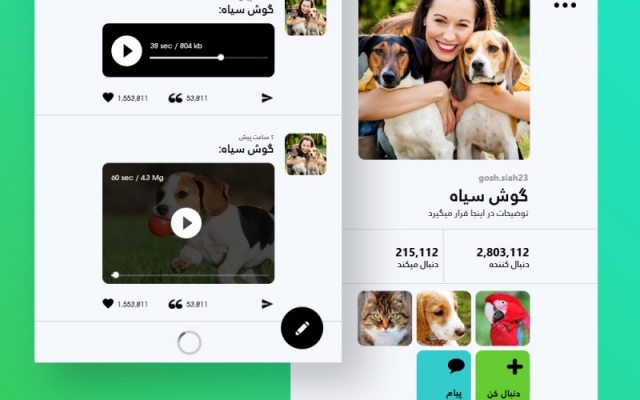رابط کاربری وب و اپلیکشن طراحی کنم