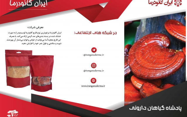 کاتالوگ، ست‌اداری و بروشور طراحی کنم