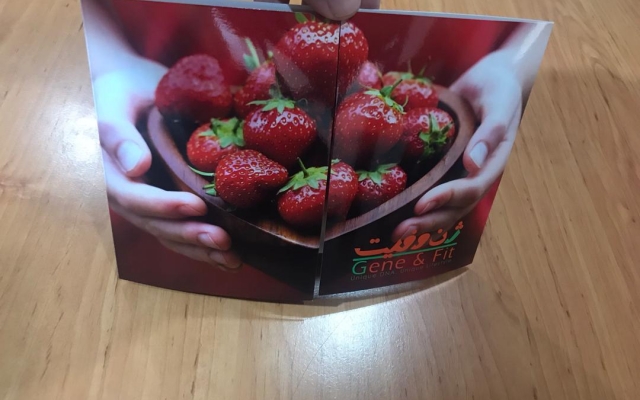 کاتالوگ طراحی کنم.