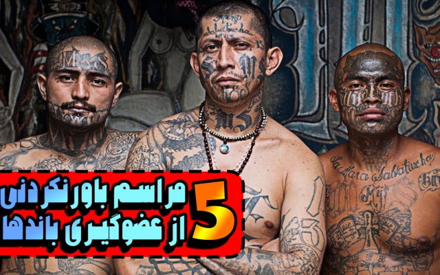 تدوین و نریشن و صداگذاری برای ویدیوهای شما انجام بدم حتی ادیت یوتیوبی ..