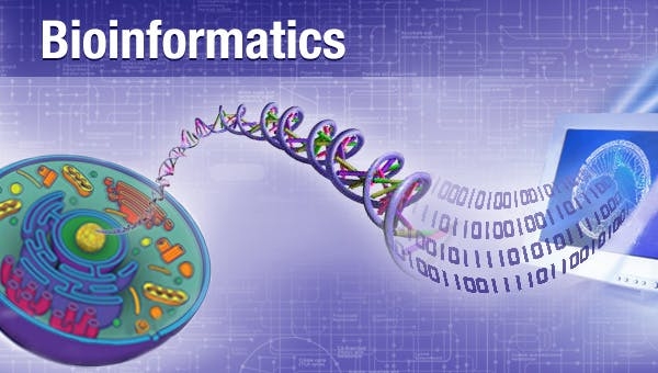 طراحی پرایمر برای real time PCR و PCR انجام بدم.