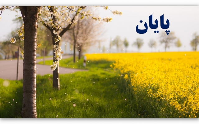 براتون پاورپوینت های زیبا همراه با افکت های تصویری و یا صوتی جذاب طراحی کنم.