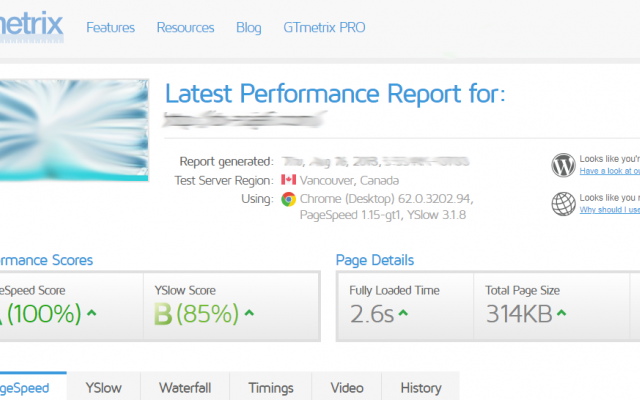 نمره GTMetrix و GooglePageSpeed و SEOSiteCheckup را 80 تا 100درصد برسانم