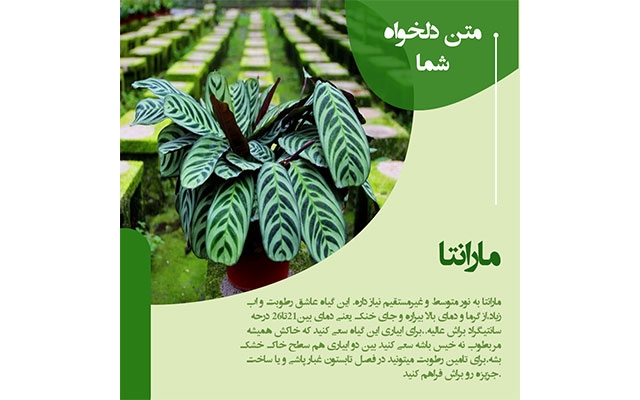 طراحی قالب اینستاگرام انجام بدم