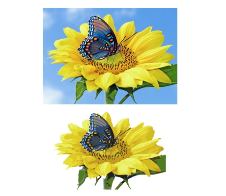 هر عکسی که بخواهید دیجیتالی کنم