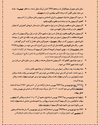 کتاب ها و جزوه های شما را تایپ کنم