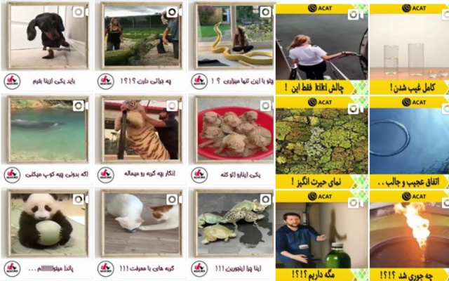 محتوا آماده جذاب و با کیفیت با موضوع سرگرمی برای اینستاگرام تحویل بدم .