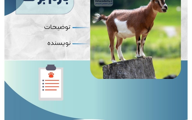 طراحی گرافیکی پیج اینستاگرام شمارو به عهده بگیرم