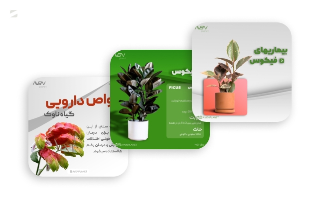 مدیریت شبکه های اجتماعی شما رو انجام بدم