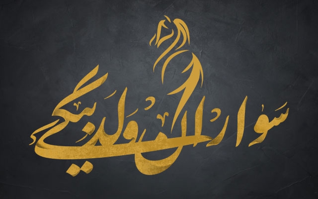 برای شما لوگو و لوگو تایپ طراحی کنم.