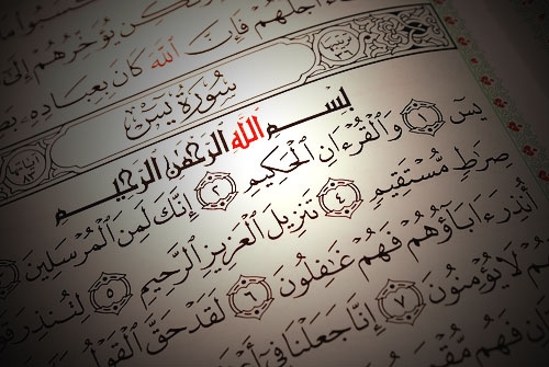 شما رو حافظ قرآن کنم.