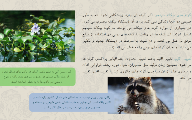 پاورپوینت برای هرنوع ارائه ای درست کنم یا پاور شما رو ادیت کنم