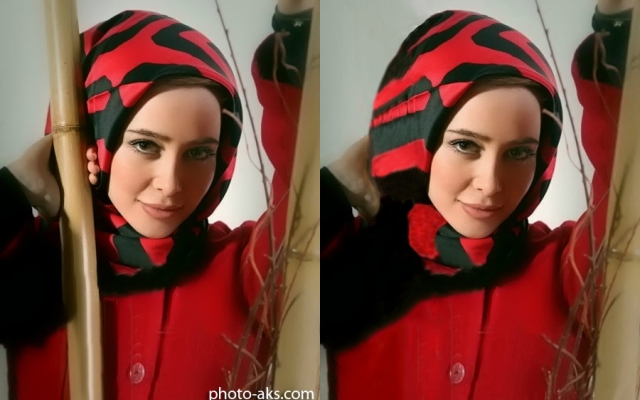 هر شی یا فرد رو از عکستون حذف کنم.