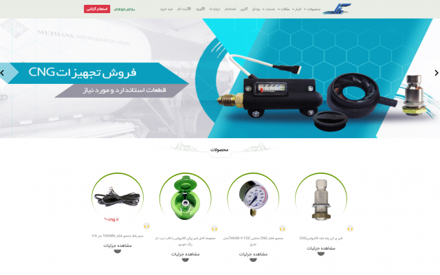 یک وب سایت شرکتی ،محتوایی،فروشگاهی با asp.net بری شما طراحی و برنامه نویسی کنم.