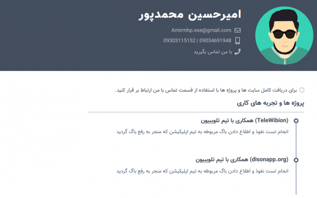 یک سایت کامل را براتون طراحی کنم