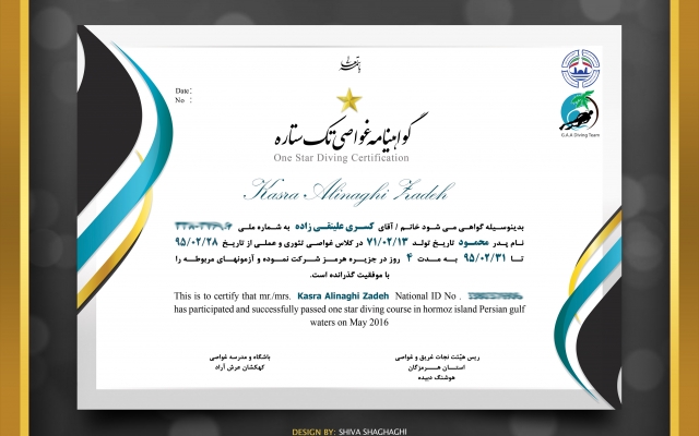 طراحی پوستر، تراکت تبلیغاتی و سایر امور گرافیکی را به نحو مطلوب انجام بدم