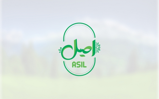 طراحی لوگو و هویت بصری انجام دهم