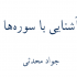 کتاب آشنایی با سوره ها رو به شما بدم.